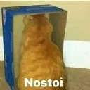 Nostoi
