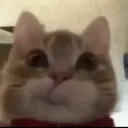 Hm