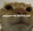 paypal me
