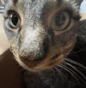 O.O