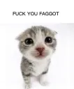 fuck you faggot cat