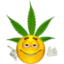 realcost_Big Emoti Weed