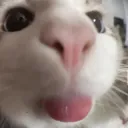 mlem