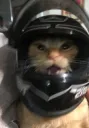 casque de moto