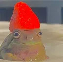 redcapfrog