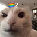 ???