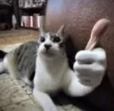 okbro