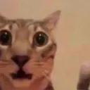 Que