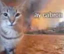 aykbron