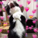 AGH MY HEART SJKHDFJS