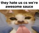 AWESOMESAUCE