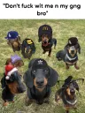 dont fw me n my gng bro