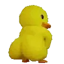 Duck Twerk