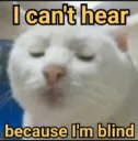 cant hear