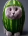 watermelon cat gg/rxku