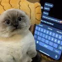 cat trash talk gg/rxku