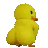 duckass