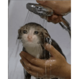 sad
