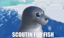 seal 
