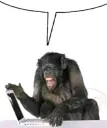 Monkey reaction 