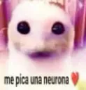 Me pica una neurona
