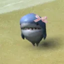 shark bow   /aquamarine