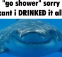 shark shower /aquamarine
