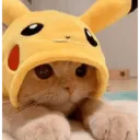CatPika
