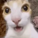 WOW