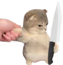 Kitten knife