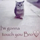 Imma touch you 