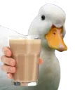 duck milo