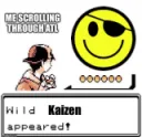 wild kaizen appeared