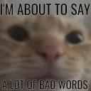 Im bout to say bad words
