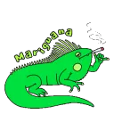 BB_MarijuanaIguana