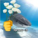 flirt shark /aquamarine