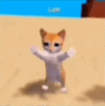 GatoWalter