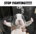stop fighting