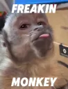 freakinmonkey