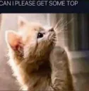 CAN I PLEASE HAVE SOME TOP