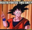 Vegeta you see this?