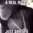 a real nigga just.gg/shooting