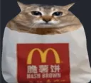 hashbrowncat
