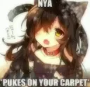 Neko