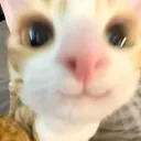 stolen_sticker_blaze