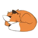 Sleepy foxxo