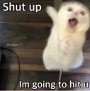 Shut up