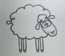 sheep