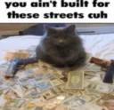 not for these streets