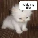 Fukk my life .gg/moon18